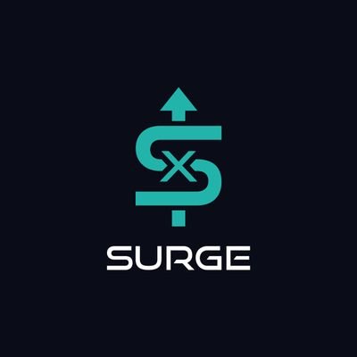 XSURGE Integrations Developer / Head of Data