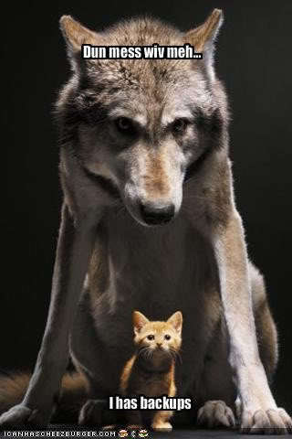 Saruwatari1988's profile picture. Don't test the MADHOUSE