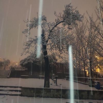 songwei84107985's profile picture. 