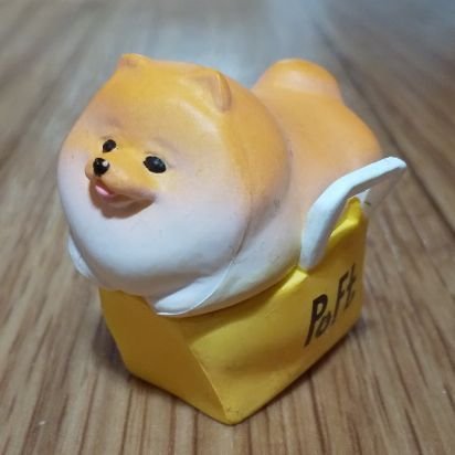 おからさんのプロフィール画像