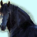 Ebony Ice - @shannonsfaith - Twitter