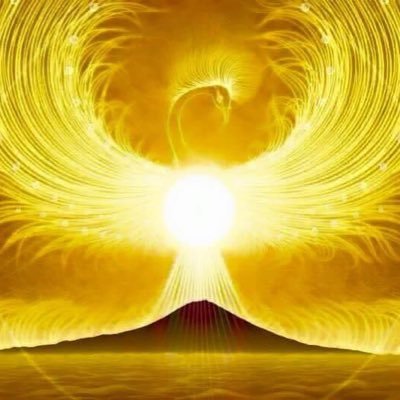 OlA9deaJIvyL0lP's profile picture. 