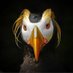 BirdQQer (@QerBird) Twitter profile photo