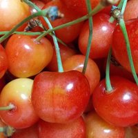 つき7716 (@moon7colors7) Twitter profile photo