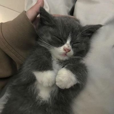 webm4rie's profile picture. ✦⁎°₊•ᡕᠵ᠊ᡃ່࡚ࠢ࠘⸝່ࠡࠣ᠊߯᠆ࠣ࠘ᡁࠣ࠘᠊᠊ࠢ࠘𐡏 * + .♡