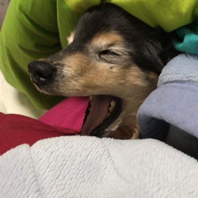 白夜でベース弾いてます。イッテツです。グラフィックデザインとサイン設計のあいだ。いつも眠い。唐揚げは茶色い宝石。塩鯖はうまい!ぺんたろーは黒毛の小犬🌈。さとミは赤毛の小犬。ぺんじろーは茶毛の小犬【土曜日の13:30〜16:30は #青たく (MBCラジオ)の事ばかりつぶやきます】
