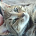 Jamie Shuler - @JamieShuler6 - Twitter