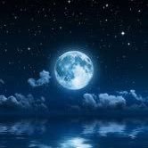 goriiiiraaaaa's profile picture. そこに愛はあるんよw