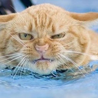 Raybell21098276's profile picture. 