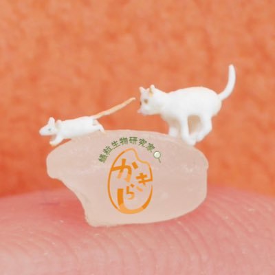 樹脂粘土で米粒サイズの生き物つくってます！Dentist&miniature artist。 メディア取材多数🎪