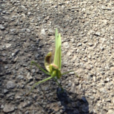 hcn655Ttba1Uzsr's profile picture. https://t.co/mhD9f2XuGl @YouTube