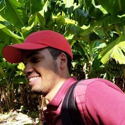 Emily narizinho 🐣 on Twitter: “Rio de Janeiro 🤤 https://t.co/jn4cnxwygf