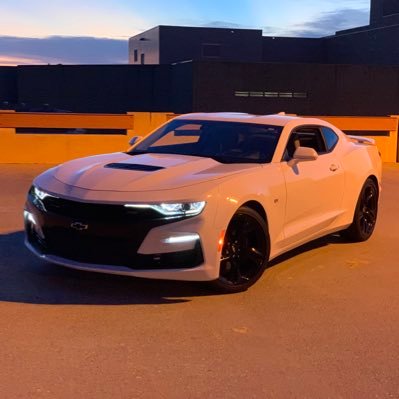 TrentParsons02's profile picture. WSU