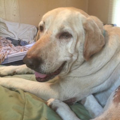 The_Otdg's profile picture. (19🔼) Figured I oughta get Twitter