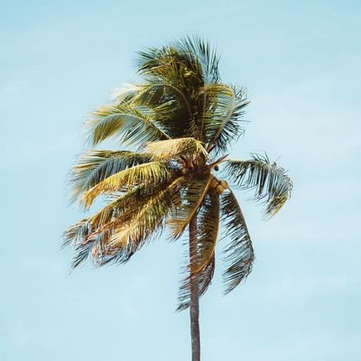 Srihari20032000's profile picture. Free minder