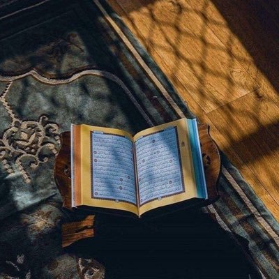 anas769's profile picture. اجعلني مباركا أينما كنت …. " لاأبرح حتى أبلغ "