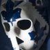PALMATEERS MASK 🍁☘🇨🇦 (@palmateersm) Twitter profile photo