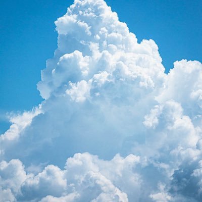 nekozekozou's profile picture. 気に入ったエロ画像とかをひたすらいいね&リツイートする半bot。時折自我を取り戻す