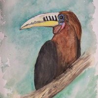 Explore Wild India Magazine (@wildlifeind) 's Twitter Profile