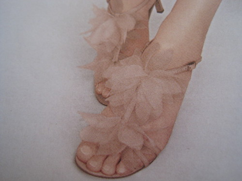 popcornmecca's profile picture. Making the most of every day.  Equipped with beautiful shoes for every step of my life.