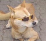 아 ㄹㄹㄹㄹ 물어 버릴겨.....