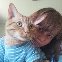 Sweeney (@stsweeney3) 's Twitter Profile