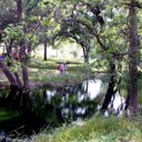 D S - @CharlesDana99 - Twitter