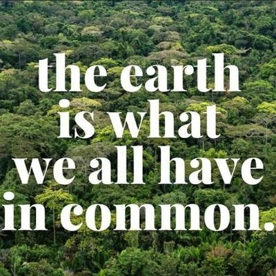 🚤⛵️🏀🎼✈️ Planet before profits, EV, Renewables, Asset markets, Politics, Entrepreneurship, Contemporary art, Scouser and Travelled across Europe/India