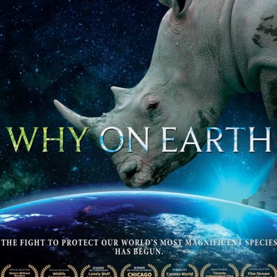 whyonearthfilm Profile Picture