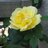 aochan_smile's profile image