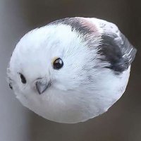 Eric (@abracadabrajm) 's Twitter Profile