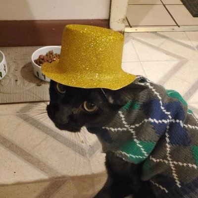 PaigeNSeibert's profile picture. 