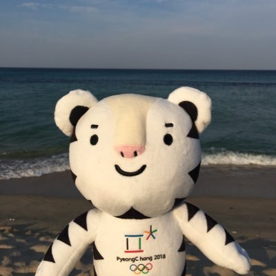 wide__fs's profile picture. Yuna Kim❤️‍🔥 Team Korea🇰🇷 (이전계정@wide_fs)