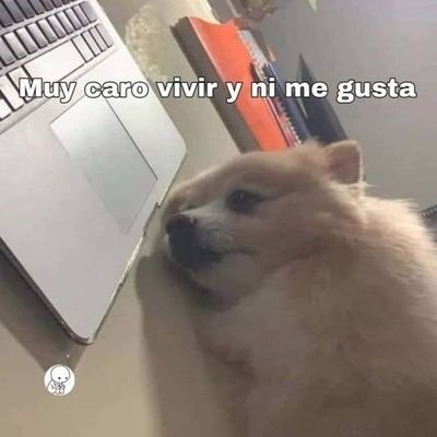 guz077's profile picture. 