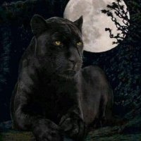 mersin_tarsus_itiraf_33 (@seks33tarsus) Twitter profile photo