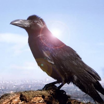 crow_cosme Profile Picture