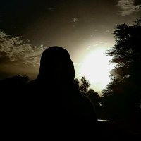 سما بنت العرب🇮🇷 (@sama1375_6_8) 's Twitter Profile Photo سما بنت العرب🇮🇷 (@sama1375_6_8) 's Twitter Profile Photo