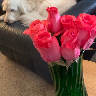 happycrickettt's profile picture. Intelligent, suspicious, researcher