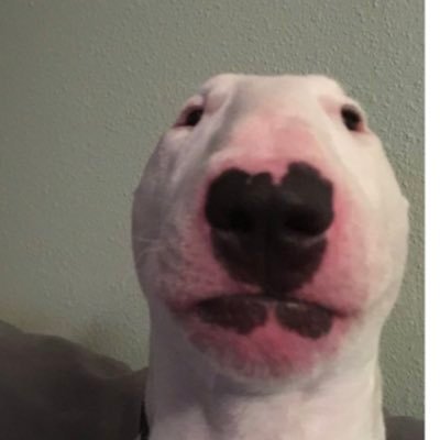 ar_mcculloch99's profile picture. 