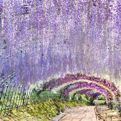 みいさんのプロフィール画像