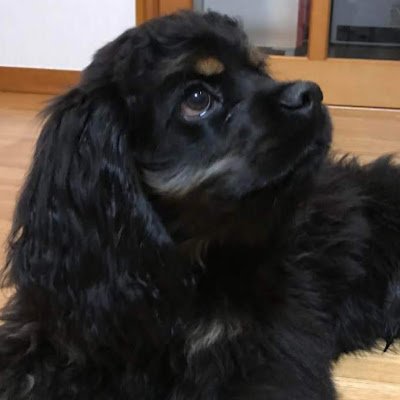 JuriK65667293's profile picture. 