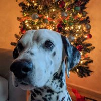 Fred (@garcia778) 's Twitter Profile