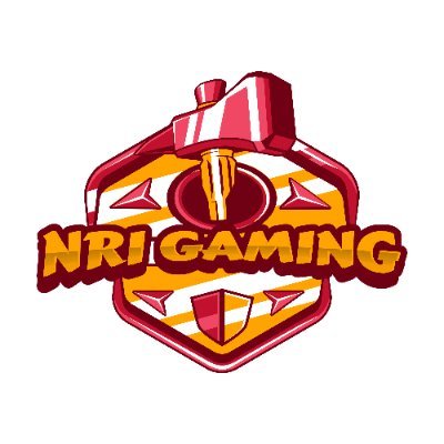 PUBG Mobile VIP Partner || 
Instagram: @NRIGaming1