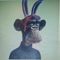 mybitcoin24.de (@andrezeitzer) 's Twitter Profile