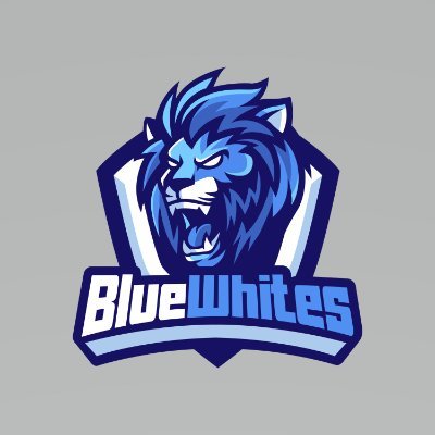 #BlueWhitesEsports | 🇫🇮 Premium Finnish Esports EST 2019. Competing on League of Legends, CS:GO and Apex Legends 👊🏼🦁 | 📸 bluewhitesofficial