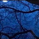 Ruby Dye - @duckhuman20 - Twitter