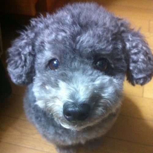 sho010809's profile picture. 自分らしく、生きる。