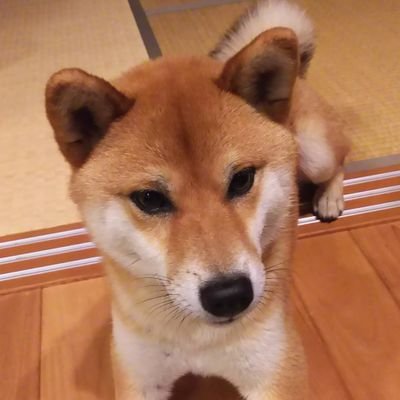 料理好き、ウイスキーとお菓子作りにハマってます。無言フォロー失礼します(*・ω・)*_ _)ペコリ
𝗪𝗵𝗶𝘀𝗸𝘆 𝗔𝗴𝗲𝗻𝘁 No.172
お酒好き、響の情報頂けると喜びます、馬追蒸溜所会員、三郎丸蒸溜所会員、合言葉は( ゚∀゚)ノБ□ カンパーイ