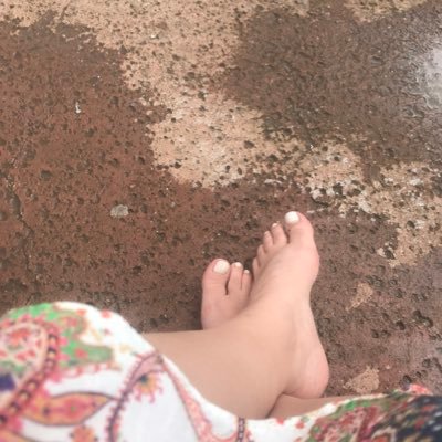 elainepasquim's profile picture. Nutricionista, especialista em saúde coletiva, analista em C&T, expertise em segurança alimentar e nutricional