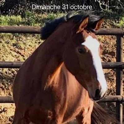 DavidVerbrigghe's profile picture. 